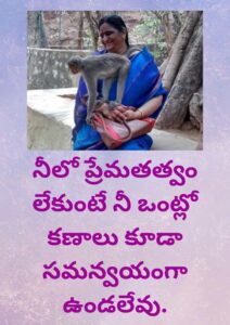 Message 64